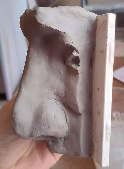 nose2